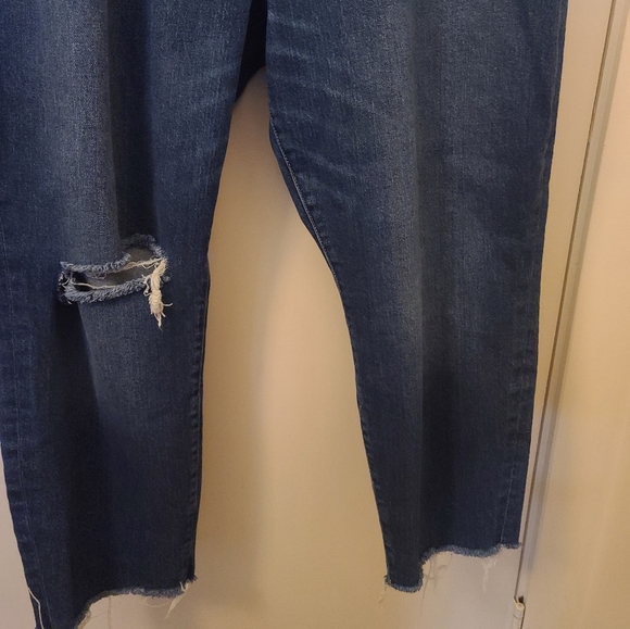Distressed straight leg jeans with button fly [Torrid] - Picture 5 of 8